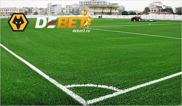Khái niệm bóng đá cỏ?